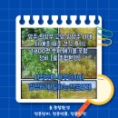 양주정비 | 양주·의정부·고양·남양주 나대지 예초 제초 견적 후기｜1,800평 부지 폐기물 포함 정비 [율 종합환경]