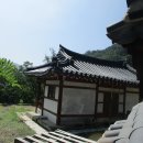 중기 효자숲 이미지