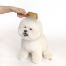 (주)마이펫코리아 이미지