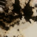 오성안마원 이미지