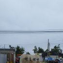 고성국화꽃향기 이미지