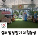 일도농장 | 김포 아이와 주말 나들이 앙팡딸기 체험농장 방문기