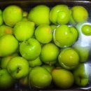 에그머니농장 이미지