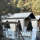 포포애견펜션 이미지