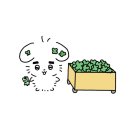 우림미디어 이미지