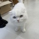유옴헤어