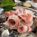 엉터리무한대패 목포하당점 | 디얼지니 / 목포 엉터리무한대패 : 하당점