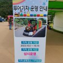 구절초 꽃축제 투어기차 이미지