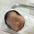 한빛 | [한빛여성병원 출산 후기] 한빛여성병원 제왕절개 입원실 후기