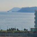 오션뷰롯데캐슬공인중개사사무소 | [해운대 중동 바다생활권 오피스텔 매매] 해운대롯데캐슬비치 101동 165㎡ 올리모델링 오션뷰