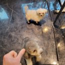 더핏짐PT 이미지