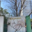 달인떡방앗간 | 첨단 대우떡방앗간 찹쌀떡 맛집 생활의 달인 26년...최고의 찹쌀떡 대결 매장 직접 방문 구매 후기