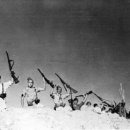 파이스 인터네셔널 이미지