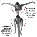 Shoulder gridle complex의 관절가동 테크닉, 수기 저항 운동, 자가운동, 기능적 운동 - 정리중.. 이미지