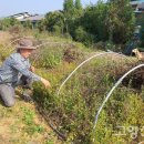 (주)레몬12 이미지