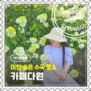[이천] 6월이면 꼭 가야 하는 경기도 숨은 수국명소, 정원 카페다원 후기