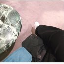 구찌 | 대전 신세계 백화점 구찌 쇼핑 후기