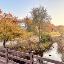 탄천 엑스파크공원 이미지