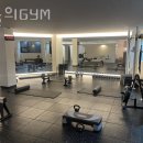 오늘의 GYM 이미지