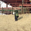 멜로온