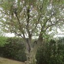 순천만국가정원(동문) 이미지