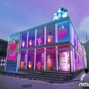 두꺼비 클럽 이미지