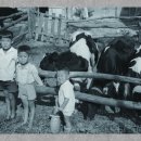 마산가축병원 이미지