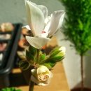 스플래쉬 이미지