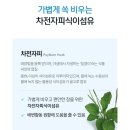 인셀덤상상 | 3종 2+1 할인 행사] “리만코리아 딥톡 플러스 후기｜변비·설사·면역·남성건강 한 번에 잡는 인셀덤...