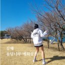 북면수변공원(다목적광장) | 2026 김해 용당나루 매화공원 개화 상황 | 2월 19일 매화 상태