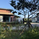 오월의정원 포레스트 이미지