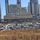 자이비뇨의학과병원 | 세종 유웰비뇨의학과 정계정맥류 수술 후기