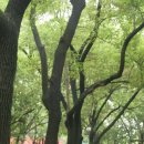 남경빌딩 이미지