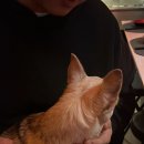 옥슨세탁소 이미지