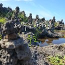 주흥항구 | 제주여행 필수코스 제주도 우도(전기차/자전거/전동스쿠터/투명카약/땅콩 아이스크림/인생사진)