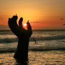 호미곶면행정복지센터 이미지