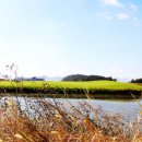 강동로4-6 이미지