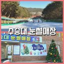 수승대관광지 눈썰매장 | 물좋고 공기좋은 [거창 수승대 눈썰매장], 미취학 아이 둘과 다자녀 50% 할인으로 다녀온 평일 무대기 후기