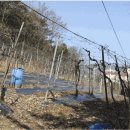 판암동241 이미지