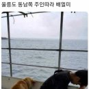 제일약국 이미지