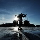 아줌마김밥 이미지