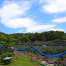 가마골농장 이미지