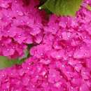 창신세탁소 이미지