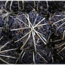 기영농원 이미지