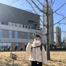 인천은송초등학교 이미지