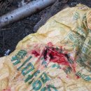 망치경로당 이미지