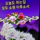 웃는얼굴 이미지