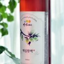 동남식품 이미지