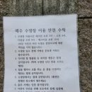 포레스트카라반 이미지