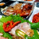갈마하 이미지